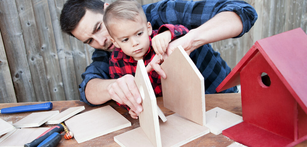 Father and son focus on building the perfect birdhouse for their bird visitors.