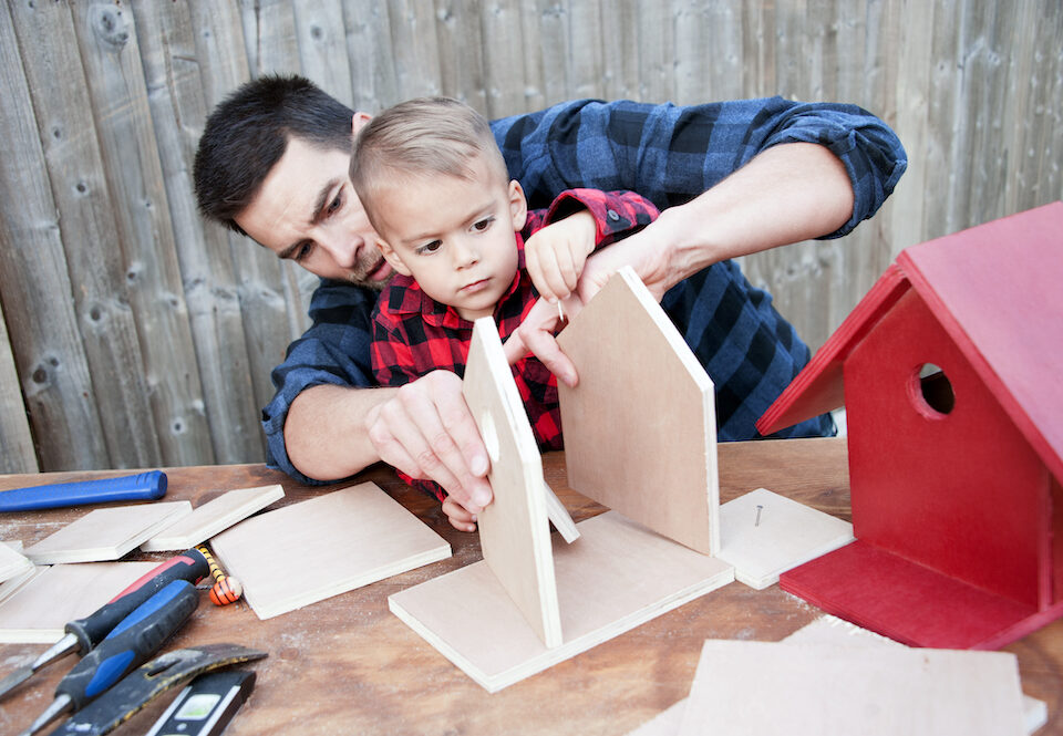 Father and son focus on building the perfect birdhouse for their bird visitors.